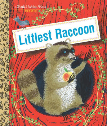 Littlest Raccoon