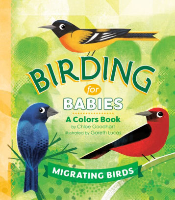 Migrating Birds: A Colors Book