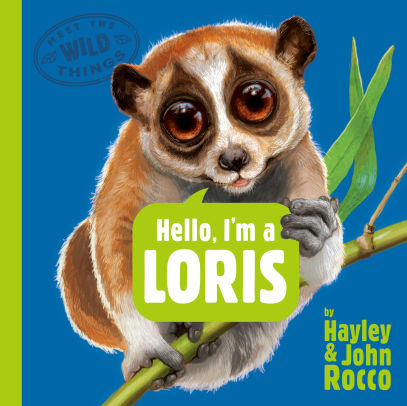 Hello, I'm a Loris