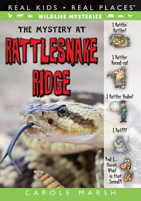 The Mystery at Rattlesnake Ridge