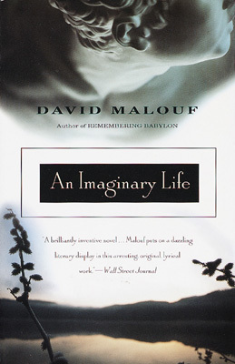 An Imaginary Life