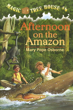 Afternoon on the Amazon