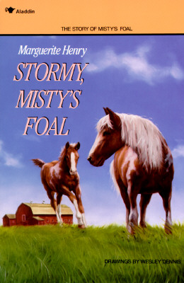 Stormy: Misty's Foal