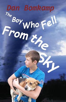 The Boy Who Fell from the Sky
