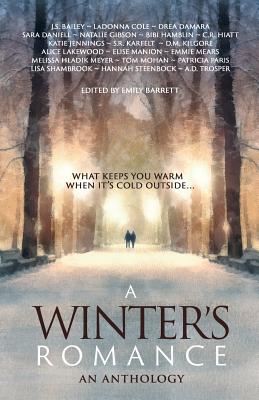 A Winter's Romance