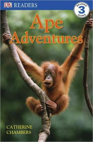 Ape Adventures