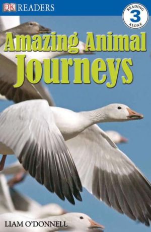 Amazing Animal Journeys