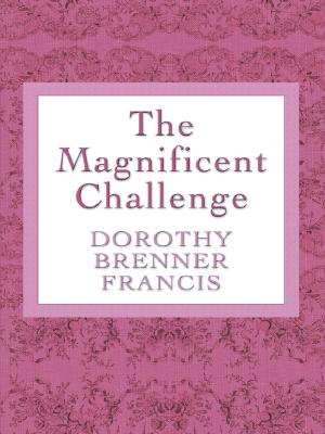 The Magnificent Challenge