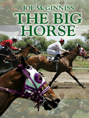 The Big Horse