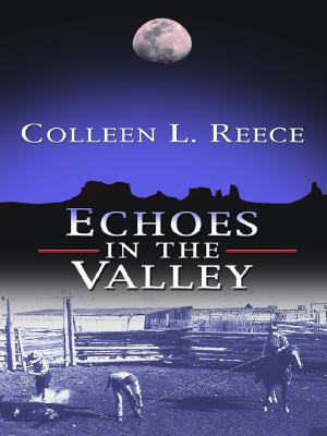 Echoes in the Valley