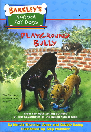 Playground Bully