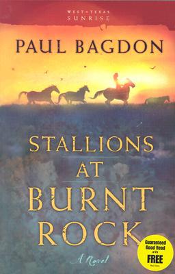 Stallions At Burnt Rock