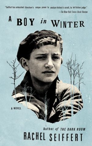 A Boy in Winter