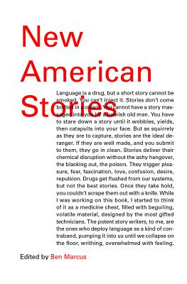 The Vintage Book of New American Short Stories