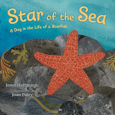 Star of the Sea: A Day in the Life of a Starfish