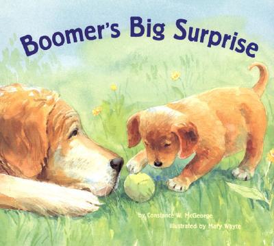 Boomer's Big Surprise