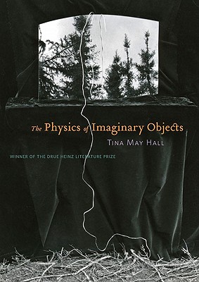 The Physics of Imaginary Objects