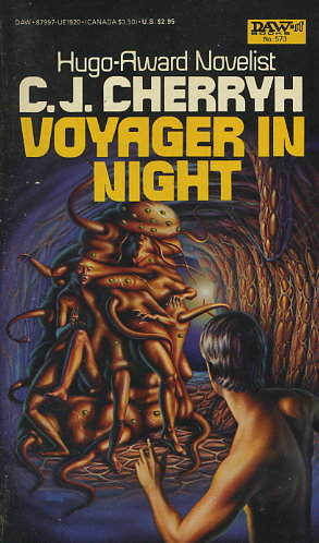 Voyager in Night