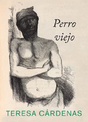 Perro Viejo