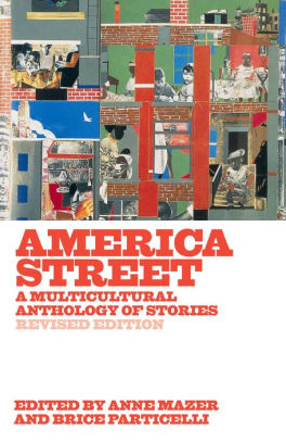 America Street: A Multicultural Anthology of Stories