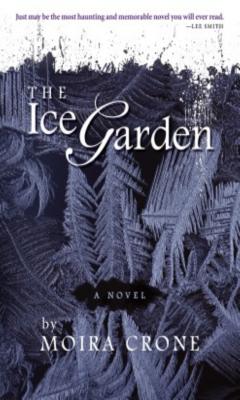 The Ice Garden