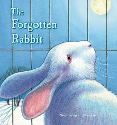 The Forgotten Rabbit