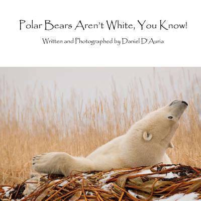 Polar Bears Aren't White, You Know!