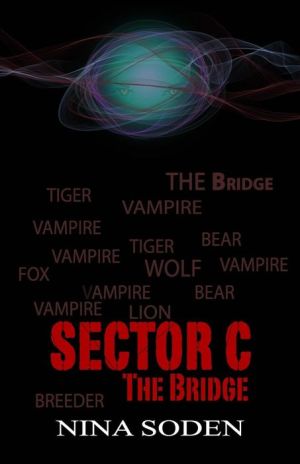 SECTOR C ~ The Bridge