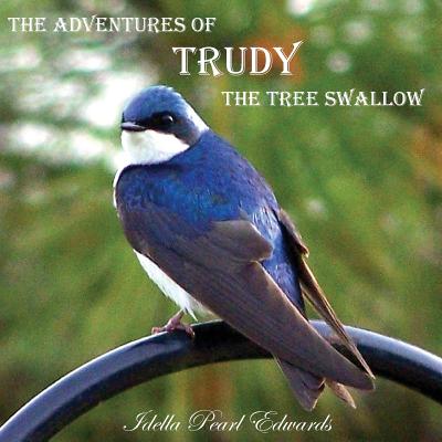 The Adventures of Trudy the Tree Swallow