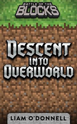 Descent Into Overworld