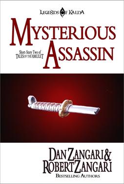 Mysterious Assassin