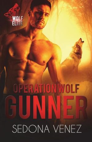 Operation Wolf: Gunner