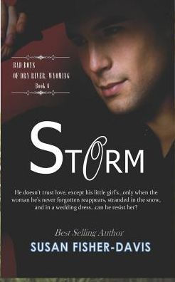 Storm Bad Boys of Dry River, Wyoming Book 6