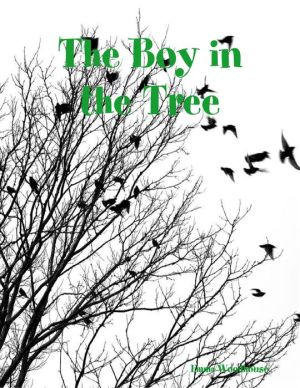 The Boy in the Tree