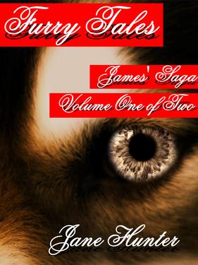 Furry Tales: James' Saga Volume One of Two