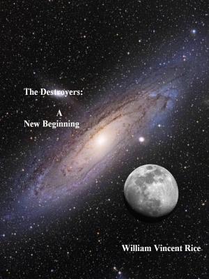 The Destroyers - Book 1 New Beginning