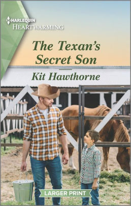 The Texan's Secret Son