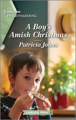 A Boy's Amish Christmas