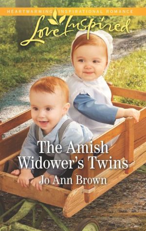 The Amish Widower's Twins