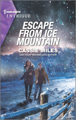Escape from Ice Mountain