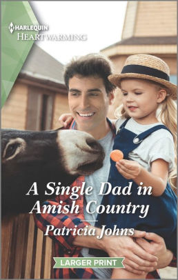 A Single Dad in Amish Country