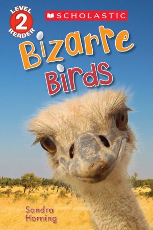 Bizarre Birds