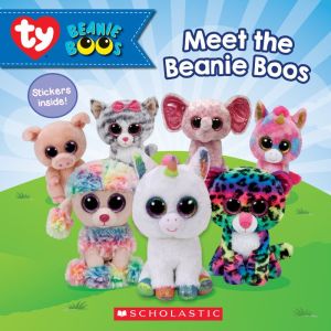 Meet the Beanie Boos