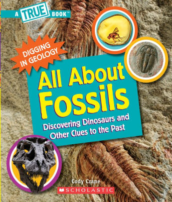 All About Fossils