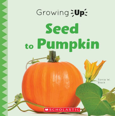 Seed to Pumpkin