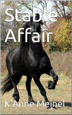 Stable Affair