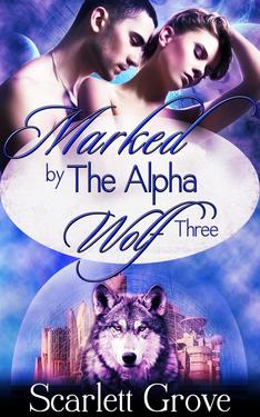 Marked By The Alpha Wolf Book Three