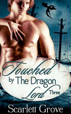 Touched By The Dragon Lord Book Three