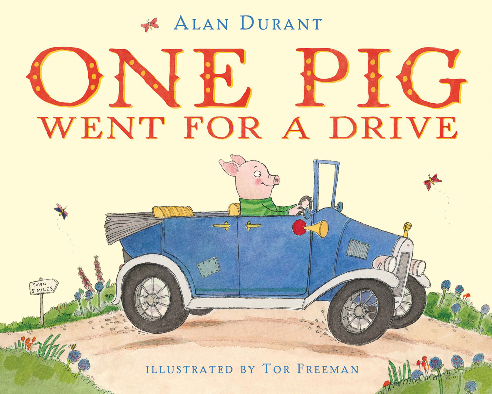 One Pig Went for a Drive