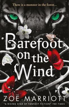 Barefoot on the Wind